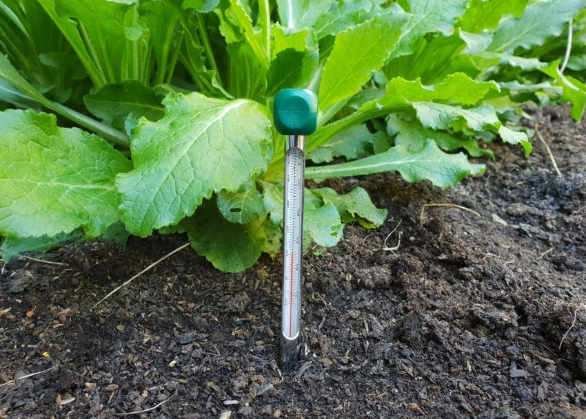 Soil Thermometer 2